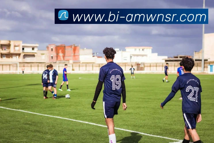 App Interface Preview